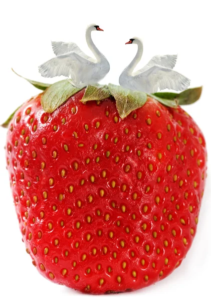 Tid av strawberry. — Stockfoto
