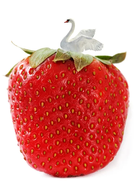 Tid av strawberry. — Stockfoto