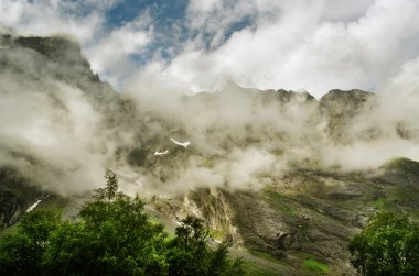 Dağın zirvesine.