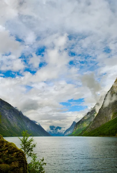 Fjord. — Stockfoto