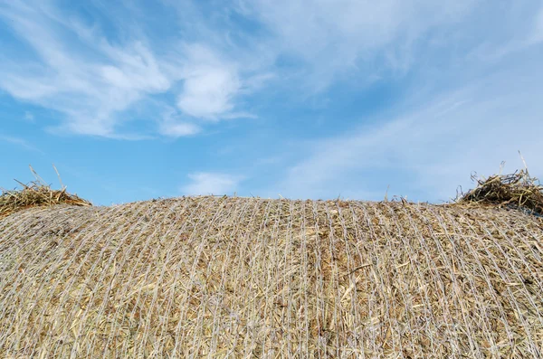 Μέρος της haystack. — Φωτογραφία Αρχείου