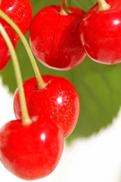 Red cherries in a summer. — Stock Photo, Image