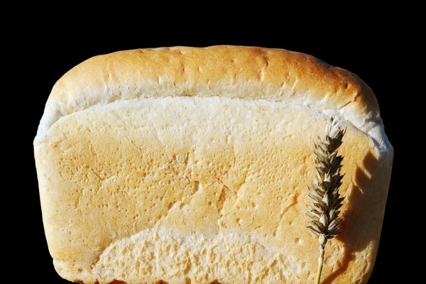 Gold bread. — Stock Photo, Image