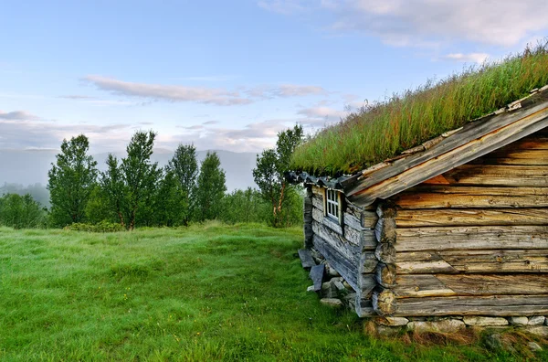 House with grass on the roof. — Stock Photo, Image