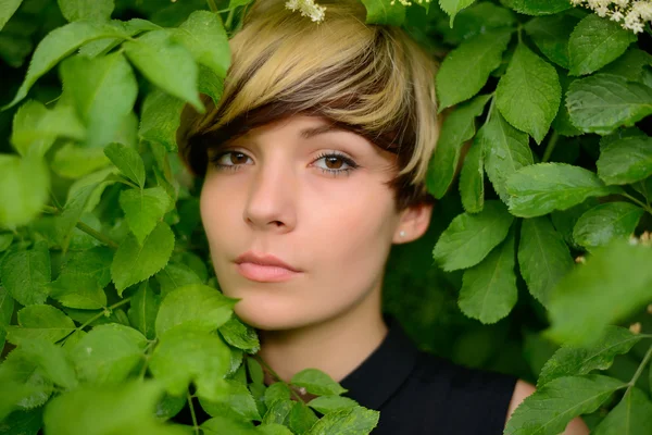 Krásná dívka pózuje v zelených listech — Stock fotografie