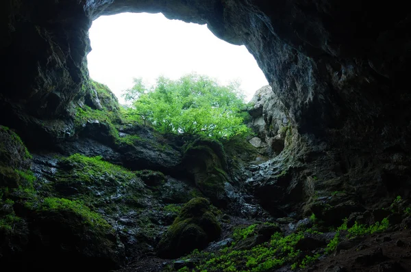 Wild cave Bolshoy Buzuluk at Karabi plateau, Crimea mountains — Stock Photo, Image