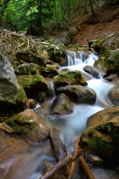 stock image Mountain stream