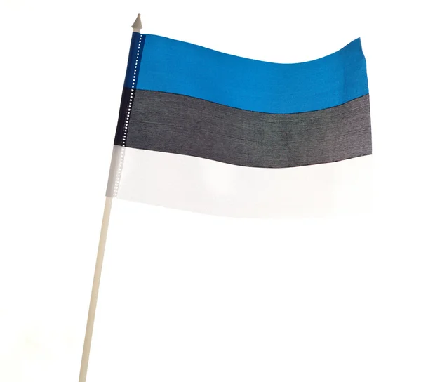 För estnisk flagg. — Stockfoto