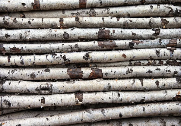 stock image Background of the old birch logs