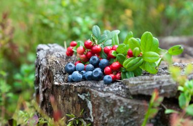 Wild berries on a green vegetative background in wood clipart