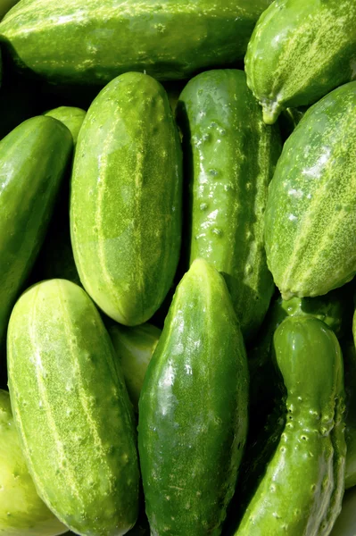 Background from cucumber — Stock Photo, Image