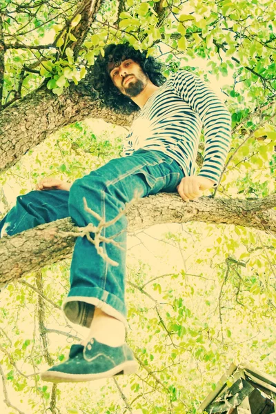 Retrato del hombre guapo en el árbol — Foto de Stock
