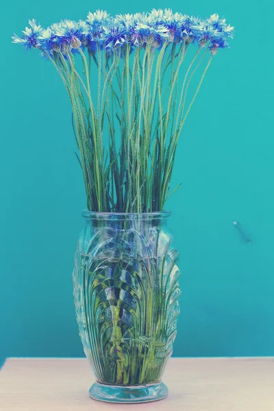 Kornblumen in der Vase — Stockfoto
