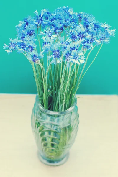 Búzavirág-váza — Stock Fotó