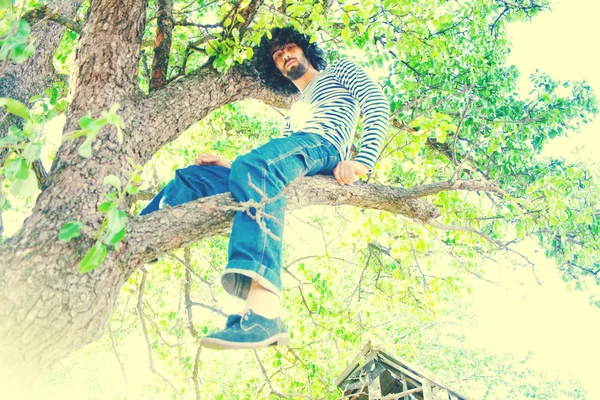 Portret van knappe man op boom — Stockfoto