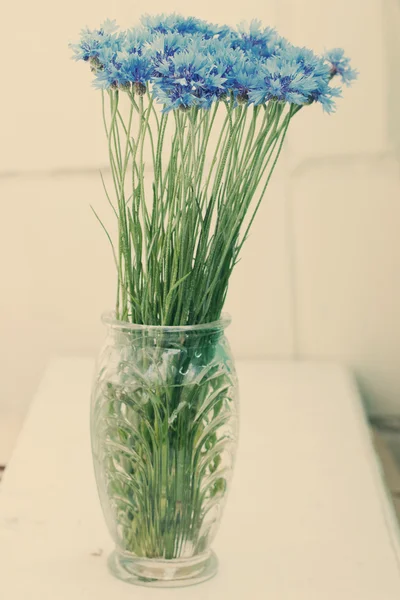 Kornblumen in der Vase — Stockfoto