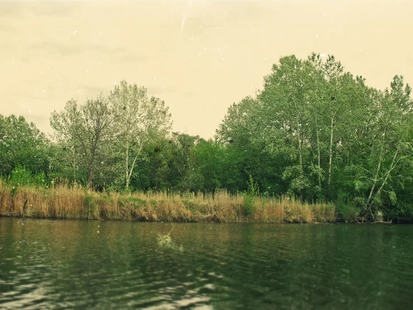 Lindas paisagens, florestas na Ucrânia — Fotografia de Stock