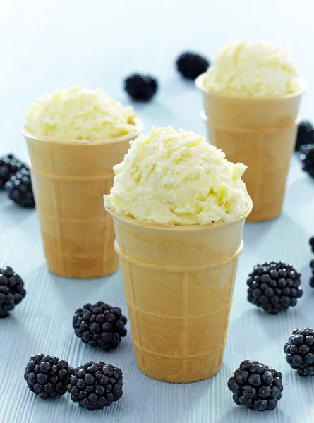 Fagylalt friss bogyóval — Stock Fotó