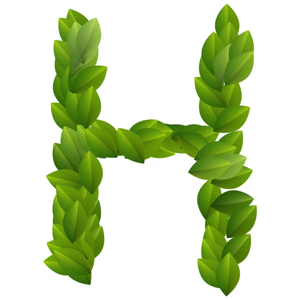 Letter N of green leaves alphabet — Stock Vector © Elenita #11363173