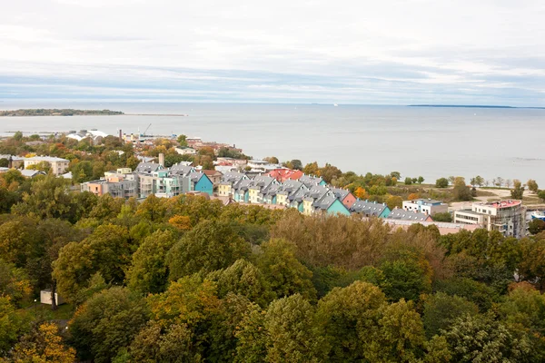 Таллин с видом на море — стоковое фото