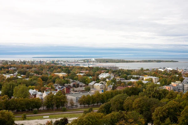 Tallin view with sea — Stock Photo, Image