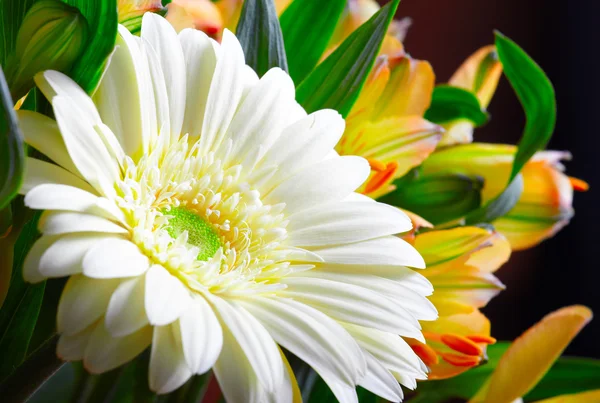 Bouquet virágok — Stock Fotó