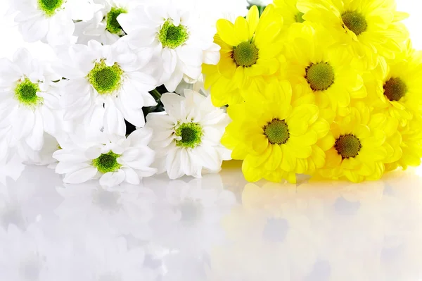 Blume Hintergrund — Stockfoto
