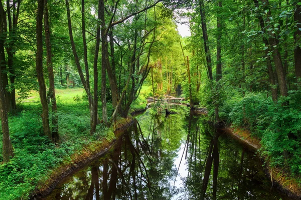 stock image Landscape