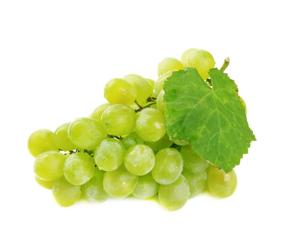 Winogrona — Zdjęcie stockowe