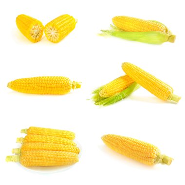 Corn cobs set clipart