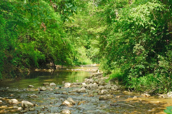 stock image Mountain river