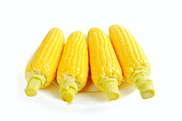 Maissintähkät — kuvapankkivalokuva