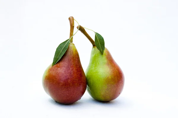 Two ripe pears with the Leaf — Stock Photo, Image