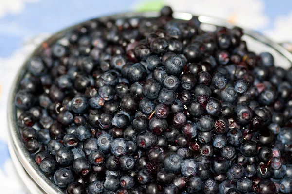 Bilberry in a plate — Stock Photo, Image