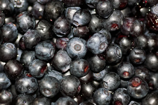 Background bilberry close up — Stock Photo, Image