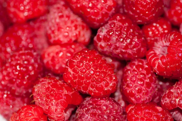 Berries of raspberry — Stock Photo, Image