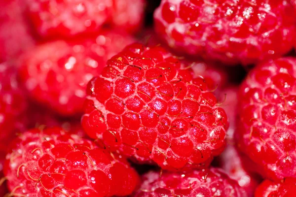 stock image Berries of raspberry