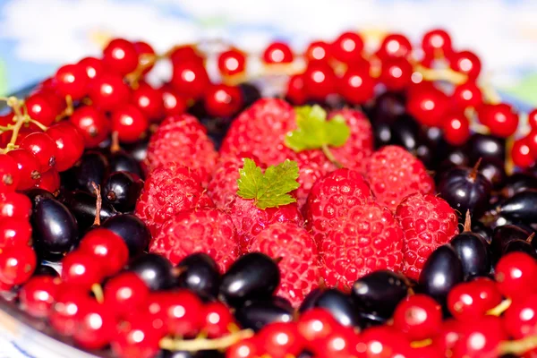 Plate with berries of raspberry, currant, bilberry — Stock Photo, Image