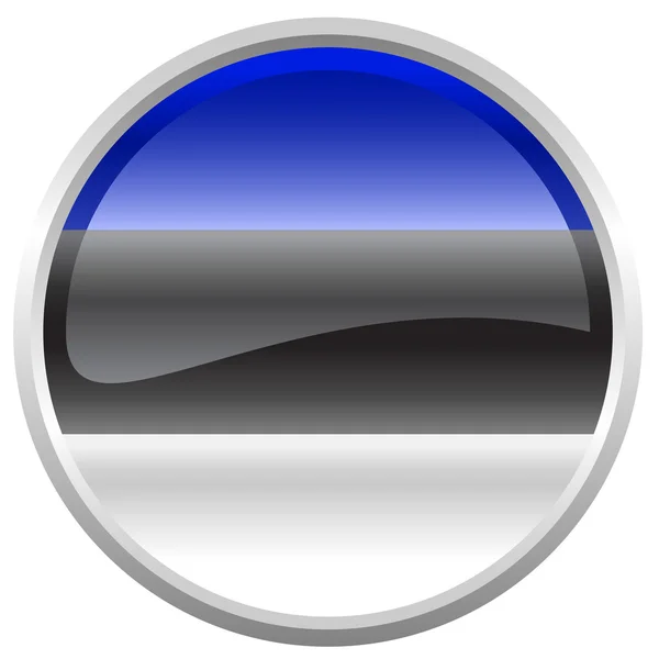 에스토니아의 국기 — 스톡 벡터