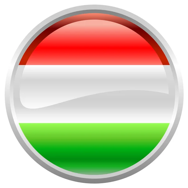 헝가리의 국기 — 스톡 벡터