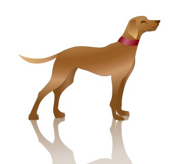 Vector illustration of playful dog and his shadow. clipart