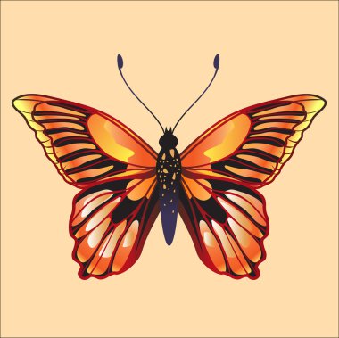 butterfly clipart