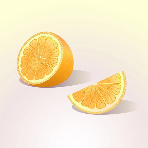 Owoc pomarańczowy z plasterkiem — Wektor stockowy