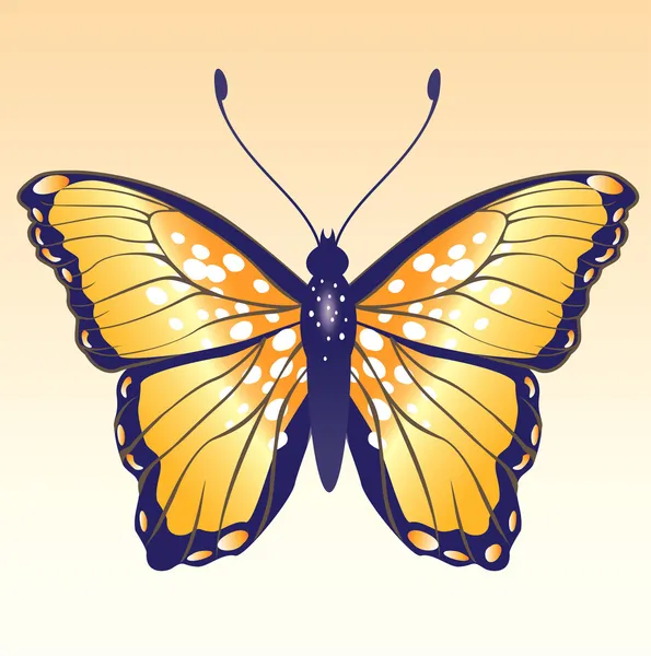 Farfalla — Vettoriale Stock