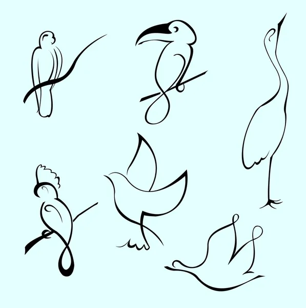 Conjunto de desenho de pássaro — Vetor de Stock