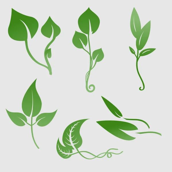 Plants silhouettes — Stock Vector