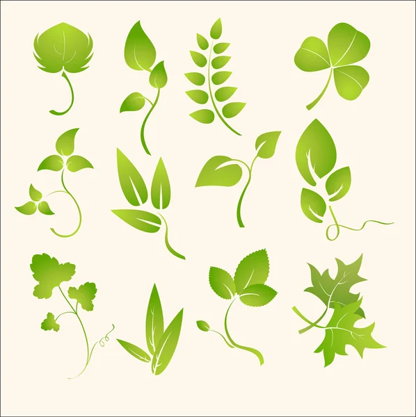 Växter silhuetter — Stock vektor