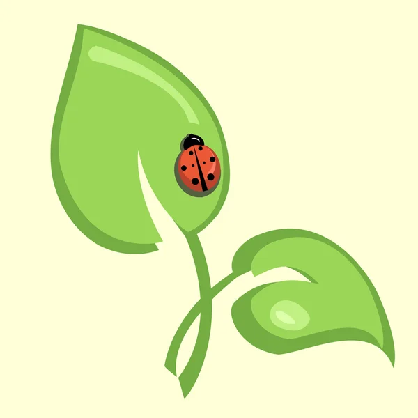 Funky ladybug — Stock Vector