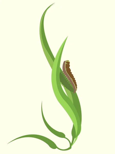 Funky caterpillar — Stock Vector
