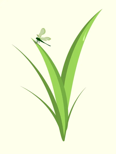 Funky Dragonfly — Stock Vector